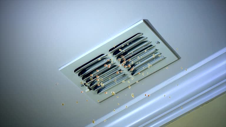 Best Affordable Duct Cleaning Services  in Mcgregor, FL