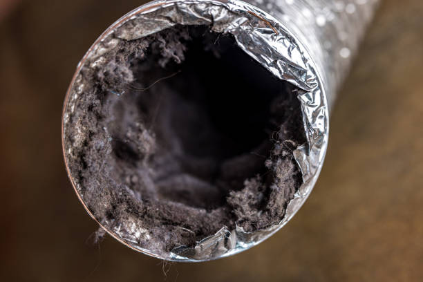 Best HVAC Air Duct Cleaning  in Mcgregor, FL