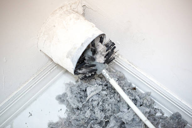 Best HVAC System Cleaning  in Mcgregor, FL